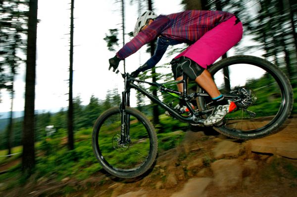 Specialized Stumpjumper Comp Carbon 29