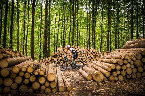 Author Šela Marathon 2018