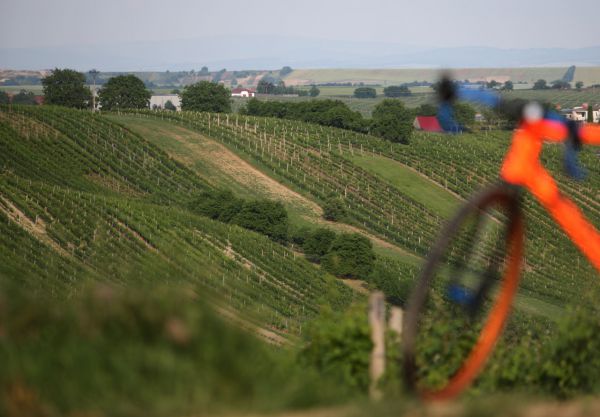 Dedacciai Strada SuperCross DB
