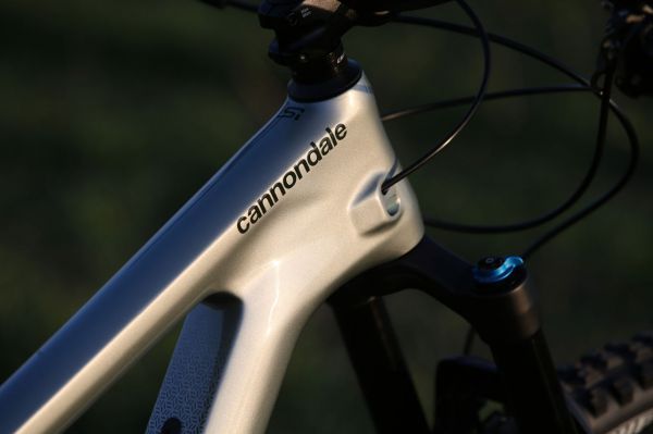 Cannondale Habit 2019