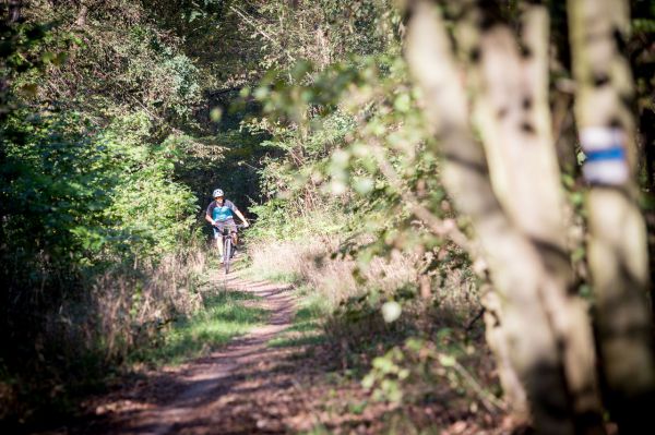 Rock Machine Blizzard XCM 90-29 25th Anniversary