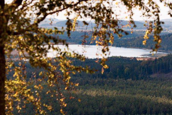 Kolo pro život 2018 #15 - Ralsko