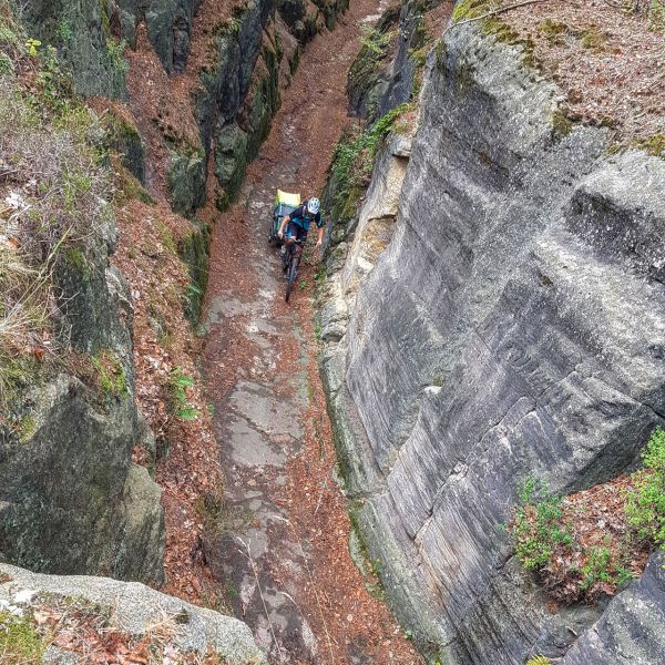 Vozík za kolo Kolofogo