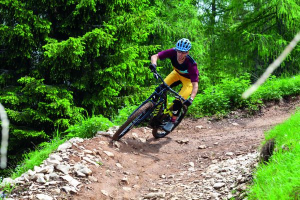 Canyon Canyon Spectral:On 8.0