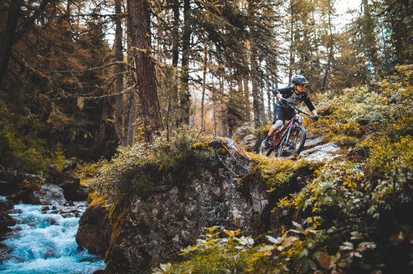 Canyon Neuron CF 2019