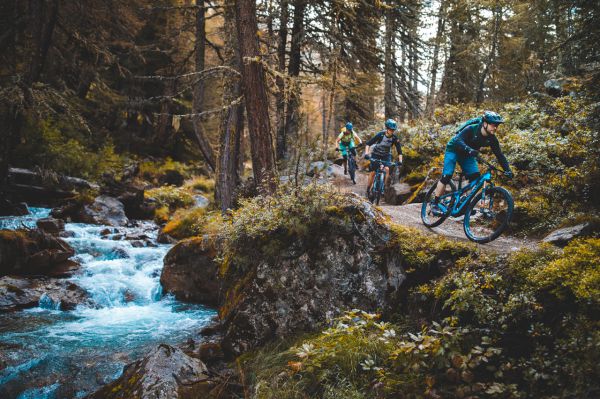 Canyon Neuron CF 2019