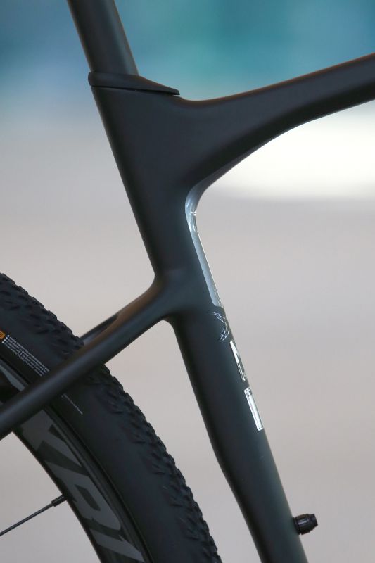 Giant Revolt Advanced 0