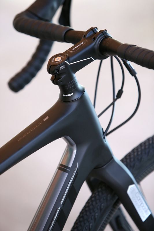 Giant Revolt Advanced 0