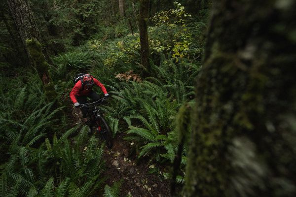 Rocky Mountain Instinct Powerplay 2019