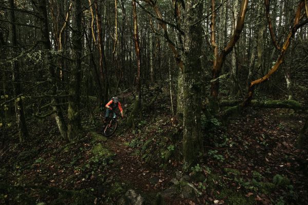 Rocky Mountain Altitude Powerplay 2019