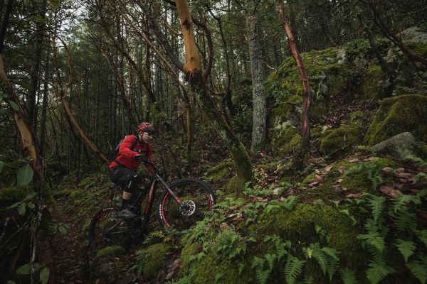 Rocky Mountain Instinct Powerplay 2019