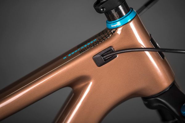 Santa Cruz Chameleon