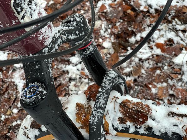 GT Sensor Carbon Expert