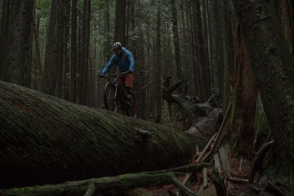 Rocky Mountain Instinct Powerplay 2019