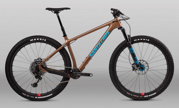 Santa Cruz Chameleon