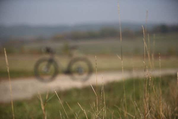 Author Ronin SL 2019