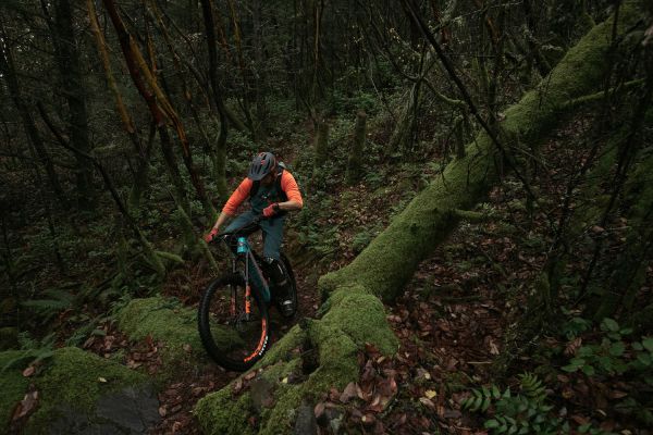 Rocky Mountain Altitude Powerplay 2019