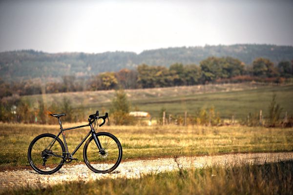 Author Ronin SL 2019