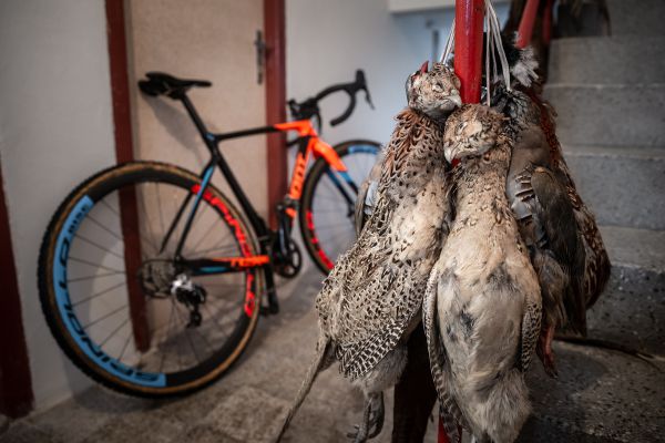 Mistrovství ČR v cyklokrosu 2019