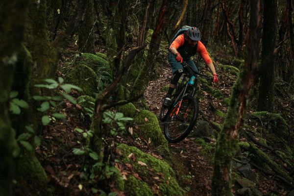 Rocky Mountain Altitude Powerplay 2019