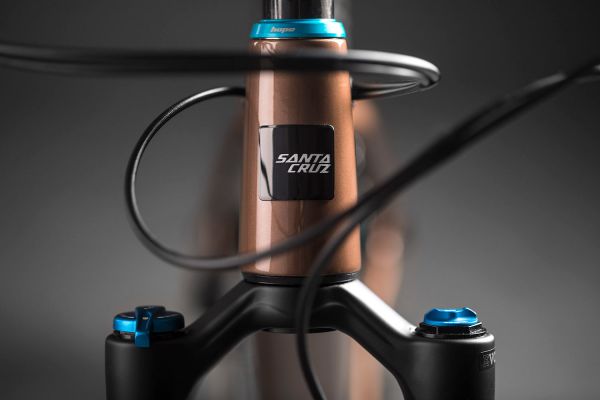 Santa Cruz Chameleon