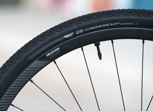 Giant Revolt Advanced 0