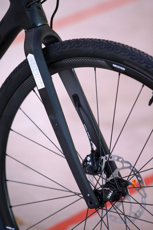 Giant Revolt Advanced 0