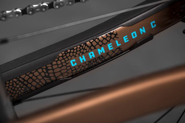 Santa Cruz Chameleon