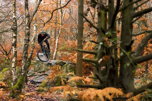 Santa Cruz Chameleon