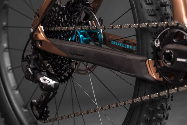 Santa Cruz Chameleon