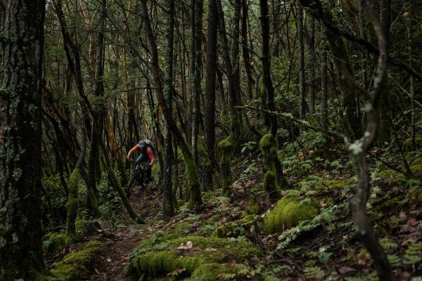 Rocky Mountain Altitude Powerplay 2019