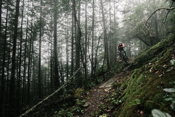 Rocky Mountain Altitude Powerplay 2019