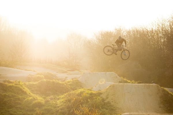 Santa Cruz Chameleon