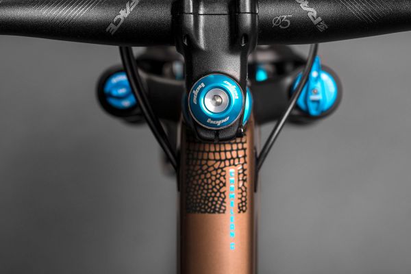 Santa Cruz Chameleon