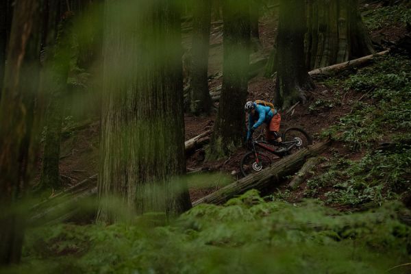 Rocky Mountain Instinct Powerplay 2019