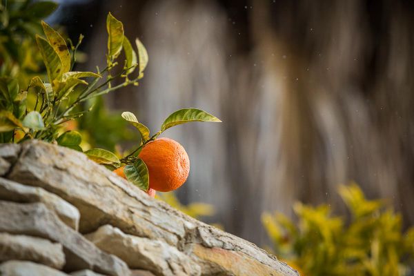 Sunshine Cup - Afxentia 2019 - 1. den