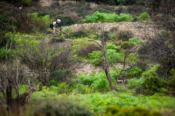 Sunshine Cup - Afxentia 2019 - 1. den