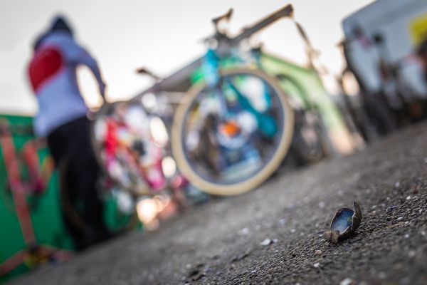 Všudypřítomné mušle