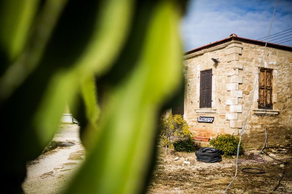 Sunshine Cup - Afxentia 2019 - 1. den