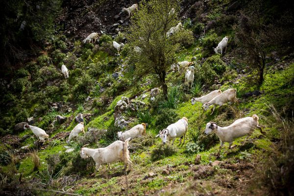 Sunshine Cup - Afxentia 2019 - 3. den