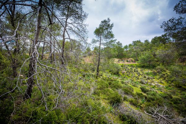 Sunshine Cup - Afxentia 2019 - 3. den