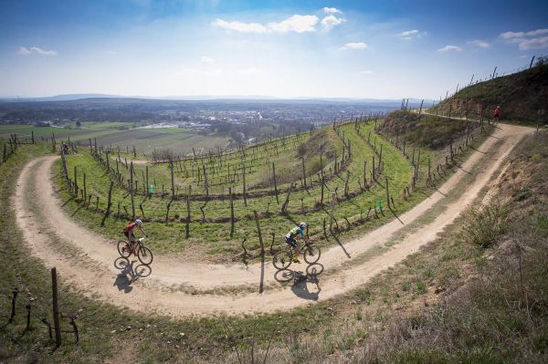 Kamptal-Klassik Trophy - Langenlois 2019