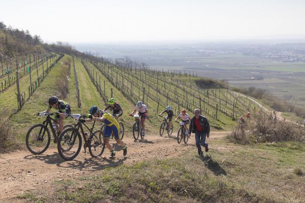 Kamptal-Klassik Trophy - Langenlois 2019