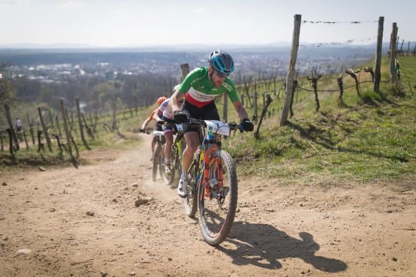 Langenlois 2019 - Gerhard Kerschbaumer