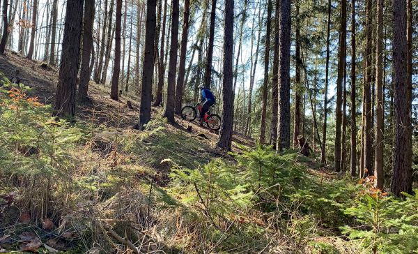 Mondraker Crusher Carbon R+