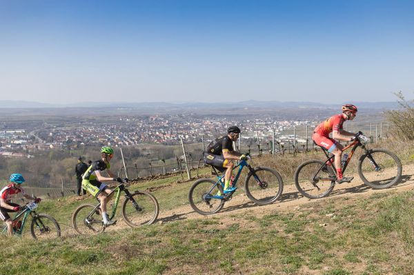 Kamptal-Klassik Trophy - Langenlois 2019