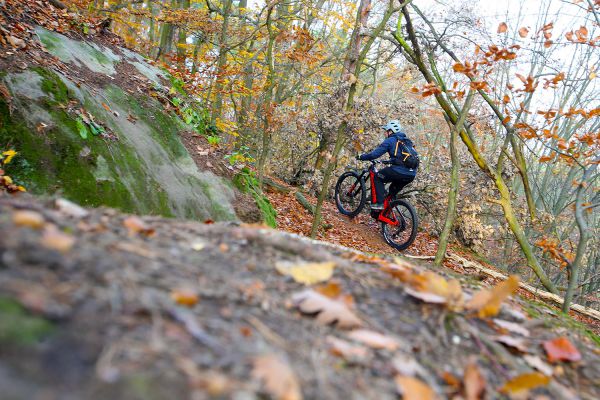 Mondraker Crusher Carbon R+