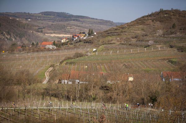 Kamptal-Klassik Trophy - Langenlois 2019