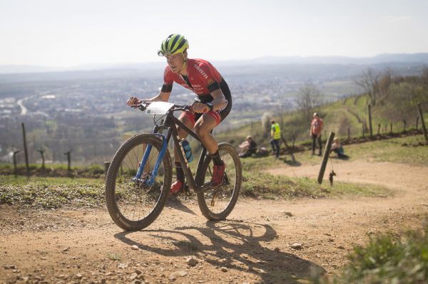 Langenlois 2019 - Josef Jelínek