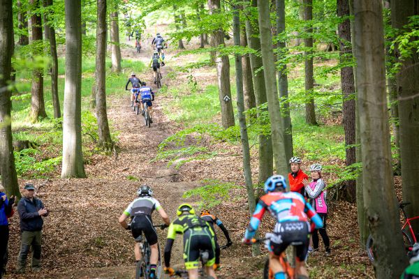 Author Šela Marathon 2019